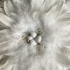 Narcisse – Image 3